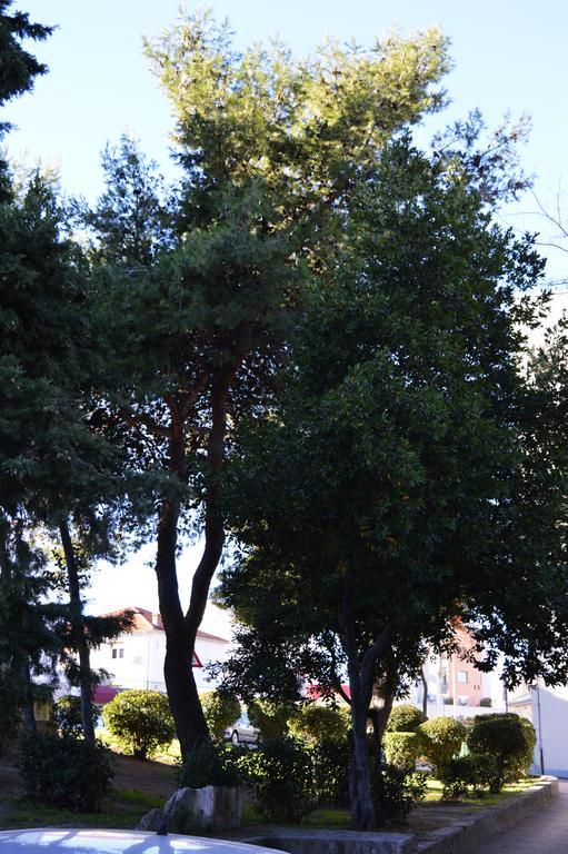 Studio Two Roses Apartman Split Kültér fotó